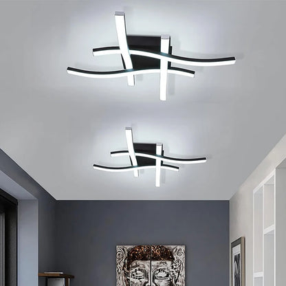 LED Ceiling Light